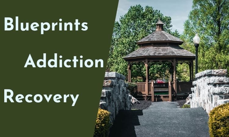Blueprints for Addiction Recovery